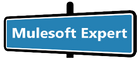 Mulesoft Expert