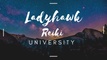 Ladyhawk Reiki University