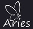 Aries 設計工作室