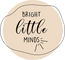 Bright Little Minds Academy