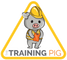 The Training Pig
