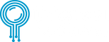 Digital Audit Pros