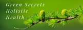 Green Secrets Holistic Health 