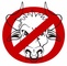 No Bull Self-Publishing Academy