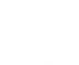 The O1 Visa Guide