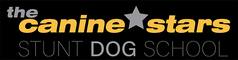 Canine Stars Stunt Dog School