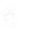 Card Magic Pro