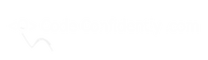 Code Confidently .com
