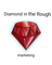 Diamond In The Rough Marketing School