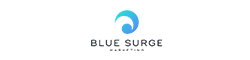 Blue Surge Digital Marketing Academy