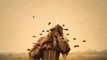 Brooke Shaden