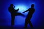 Martial Arts Online