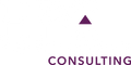 High Performance Consulting U