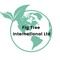 The Fig Tree Foundation