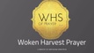 Woken Harvest Prayer Warrior Team Training