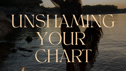 Product image for Unshaming Your Chart