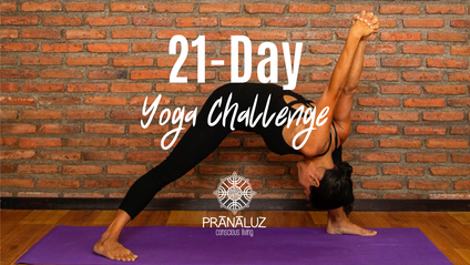 Product image for 21 Day Yoga Challenge