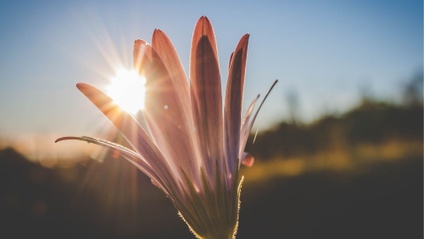 Product image for Abundant Life Coaching