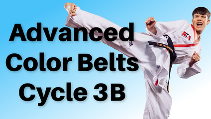 Product image for Advanced Color Belts Cycle 3B