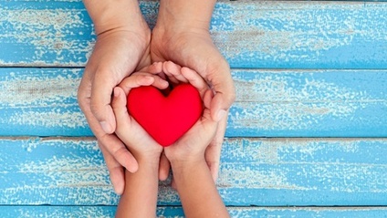 Product image for An Introduction to Trauma Informed Practice 