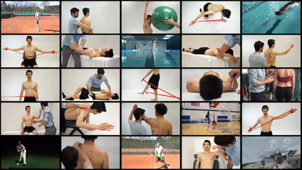 Product image for The Athlete Movement System: Upper Half