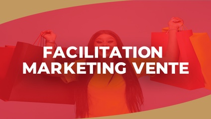 Product image for Facilitation Marketing Vente
