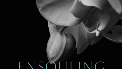 Product image for Ensouling Quintessence: The FREE Workshop