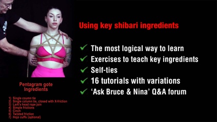Product image for Using key ingredients of shibari