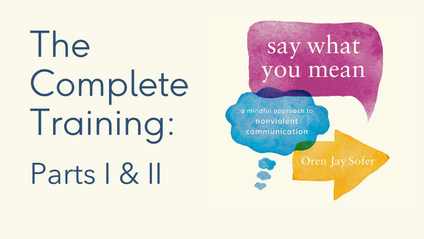 Product image for Say What You Mean: Complete Training