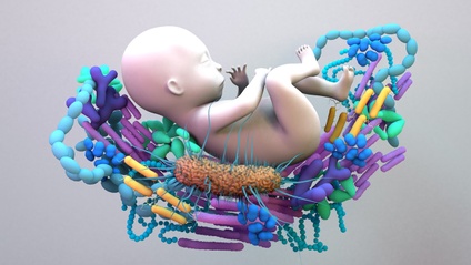 Product image for Pregnancy and the Vaginal Microbiome