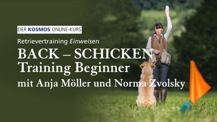 Product image for Retrievertraining EINWEISEN | Back-Schicken Training Beginner