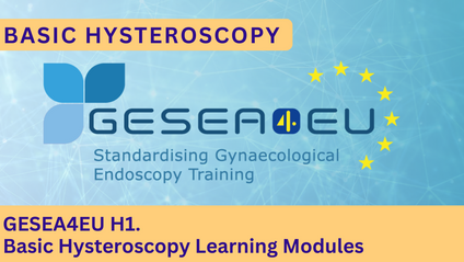 Product image for GESEA4EU H1. Basic Hysteroscopy Learning Modules.1