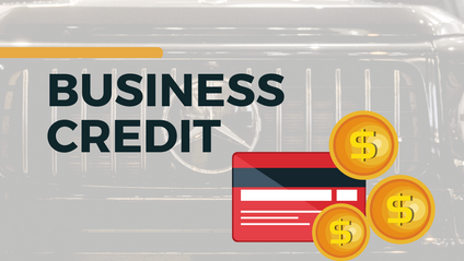 Product image for Business Credit E-Book