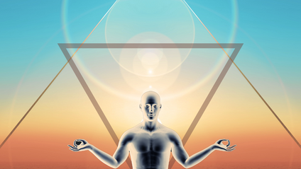 Product image for Multi-Dimensional Anatomy