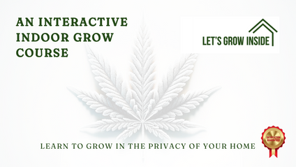 Product image for Interactive Indoor Grow Course