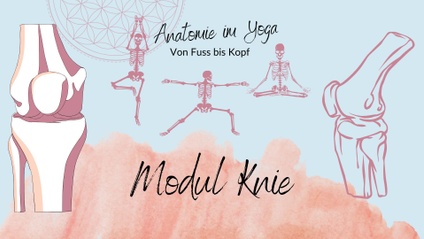 Product image for KNIE: Anatomie im Yoga VON FUSS BIS KOPF