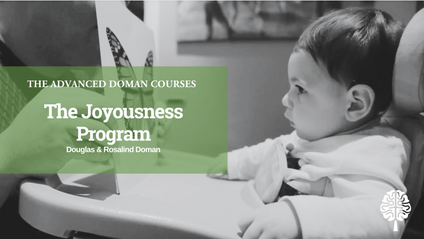 Product image for The Joyousness Program