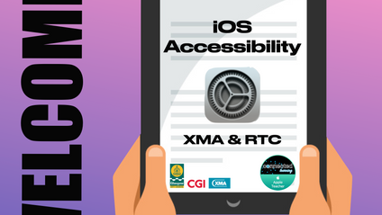 Product image for iOS Accessibility