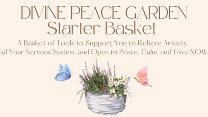 Product image for Divine Peace Garden Starter Basket