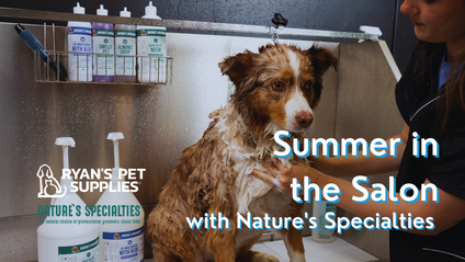 Product image for Summer in the Salon with Nature's Specialties