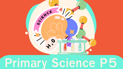Product image for Science : Primary 5 