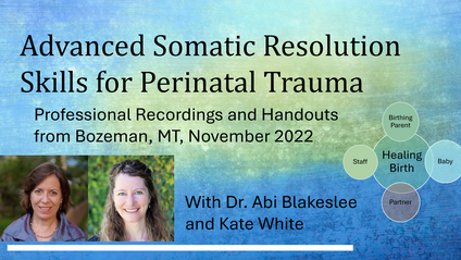 Product image for Advanced Somatic Resolution Skills for Perinatal Trauma