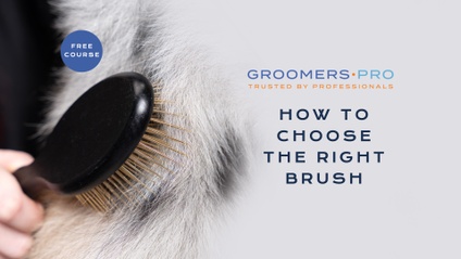 Product image for How To... Choose The Right Brush?