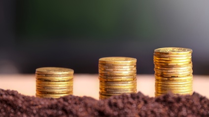 Product image for Fundamentals of Cash Flow Calculations 