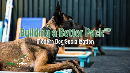 Product image for Building a Better Pack™
