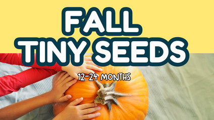 Product image for Tiny Seeds One Year Old Fall Lesson Plan