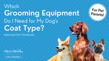 Product image for Which Grooming Equipment Do I Need For My Dog's Coat Type? 