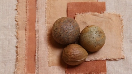 Product image for How to Naturally Dye with Avocado