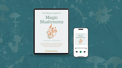 Product image for  Bundle - Healing with Magic Mushrooms