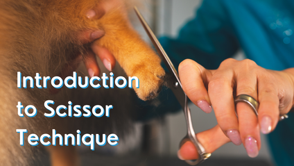 Product image for Introduction to Scissor Technique
